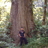 Jaime - big tree_1_7_1